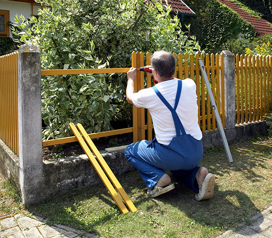 Fence Removal