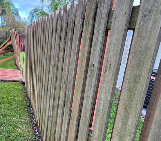 Fence Removal