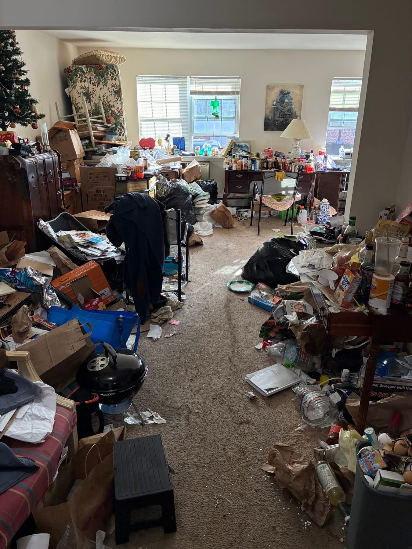 hoarders livingroom